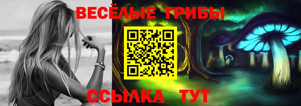 Псилоцибиновые грибы Magic Shrooms  Псилоцибиновые грибы ЛСД  Будённовск  Вход с VPN 